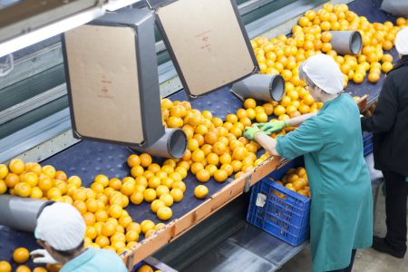 industria_agroalimentària3